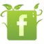 Facebook Facebook