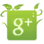 Google+ Google+